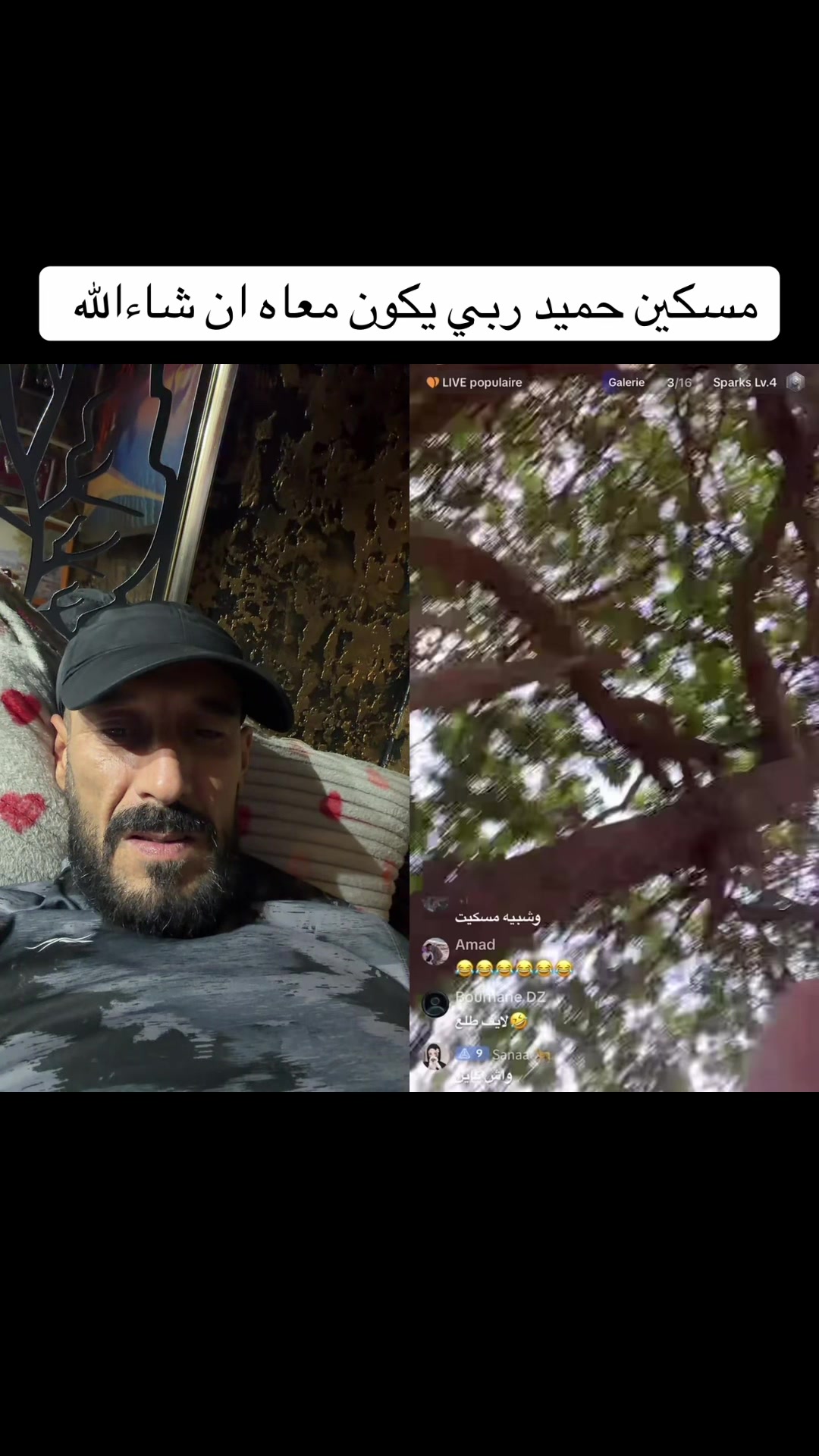 @🌶️🌶️خيمة الناقة🌶️🌶️