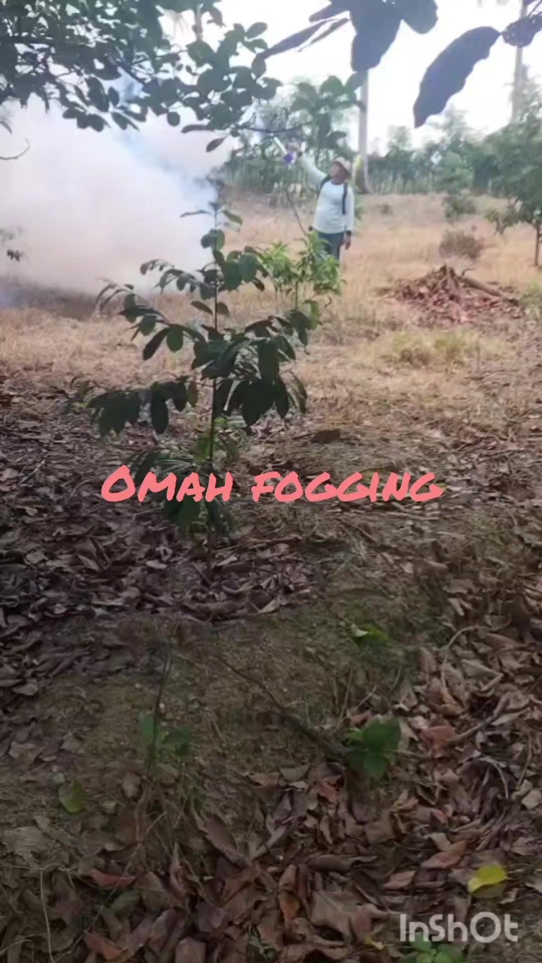 @omahFogging