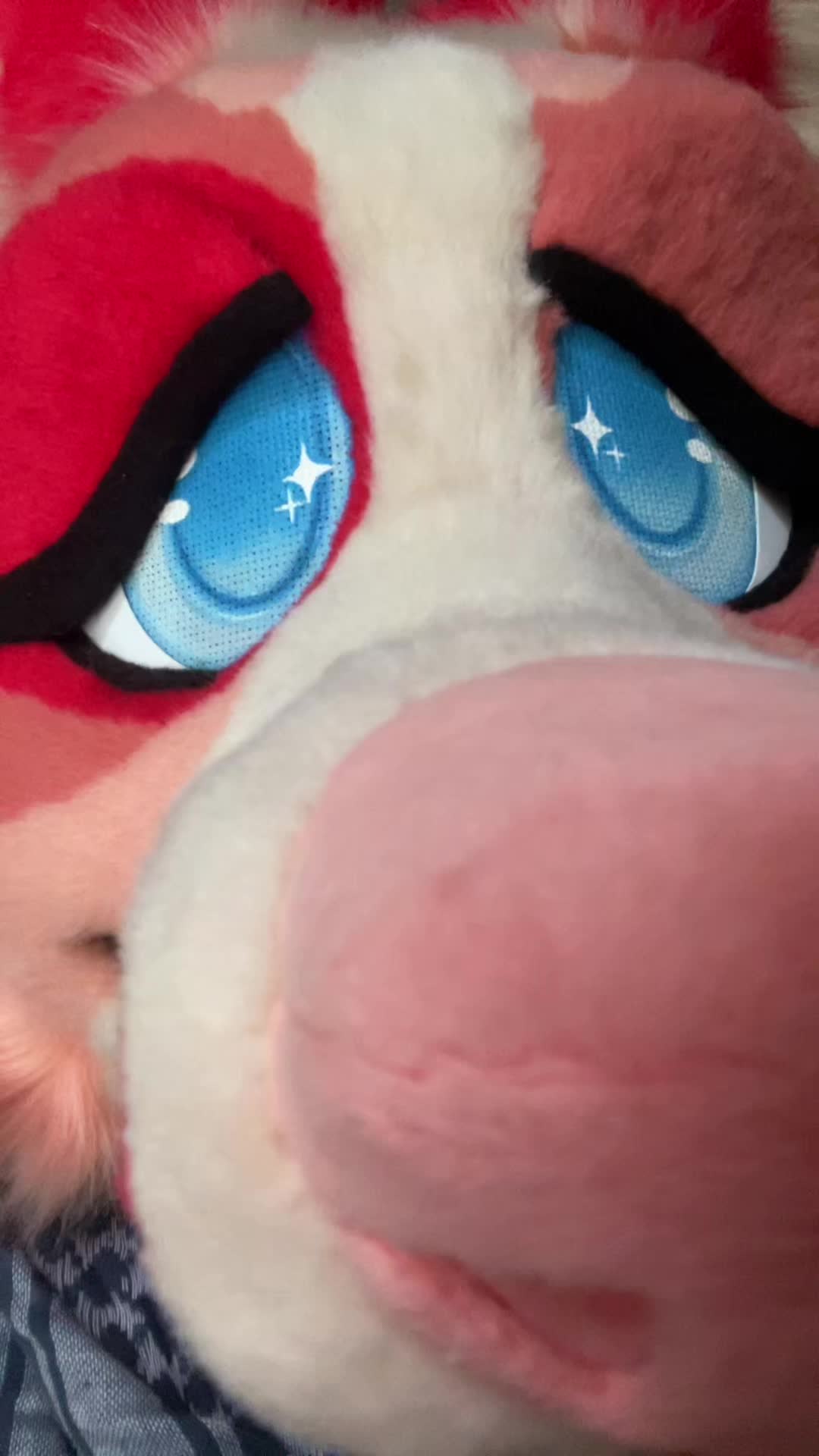 @⟡˙⋆Jazz⋆˙⟡