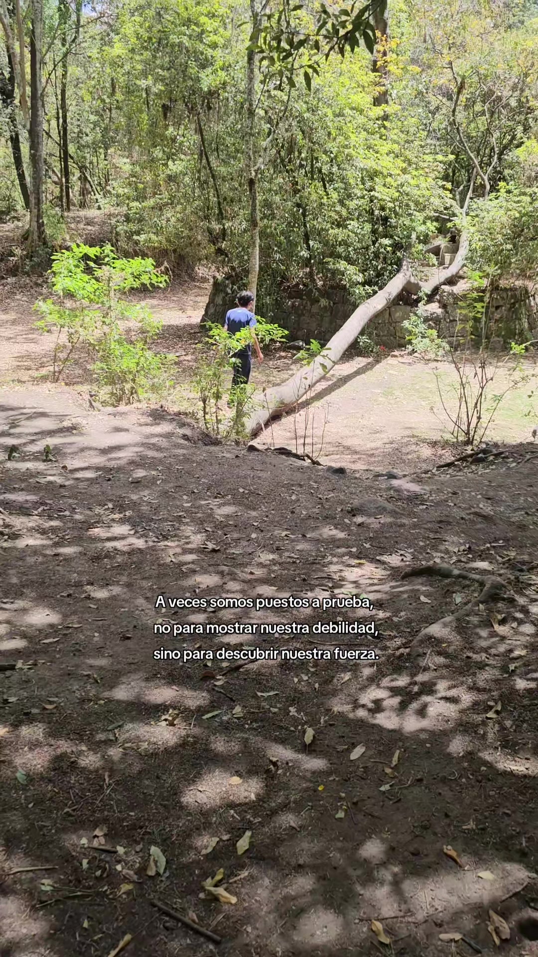 @ঔৣ☬✞ƘЄѴɬƝ✞☬ঔৣ꧂