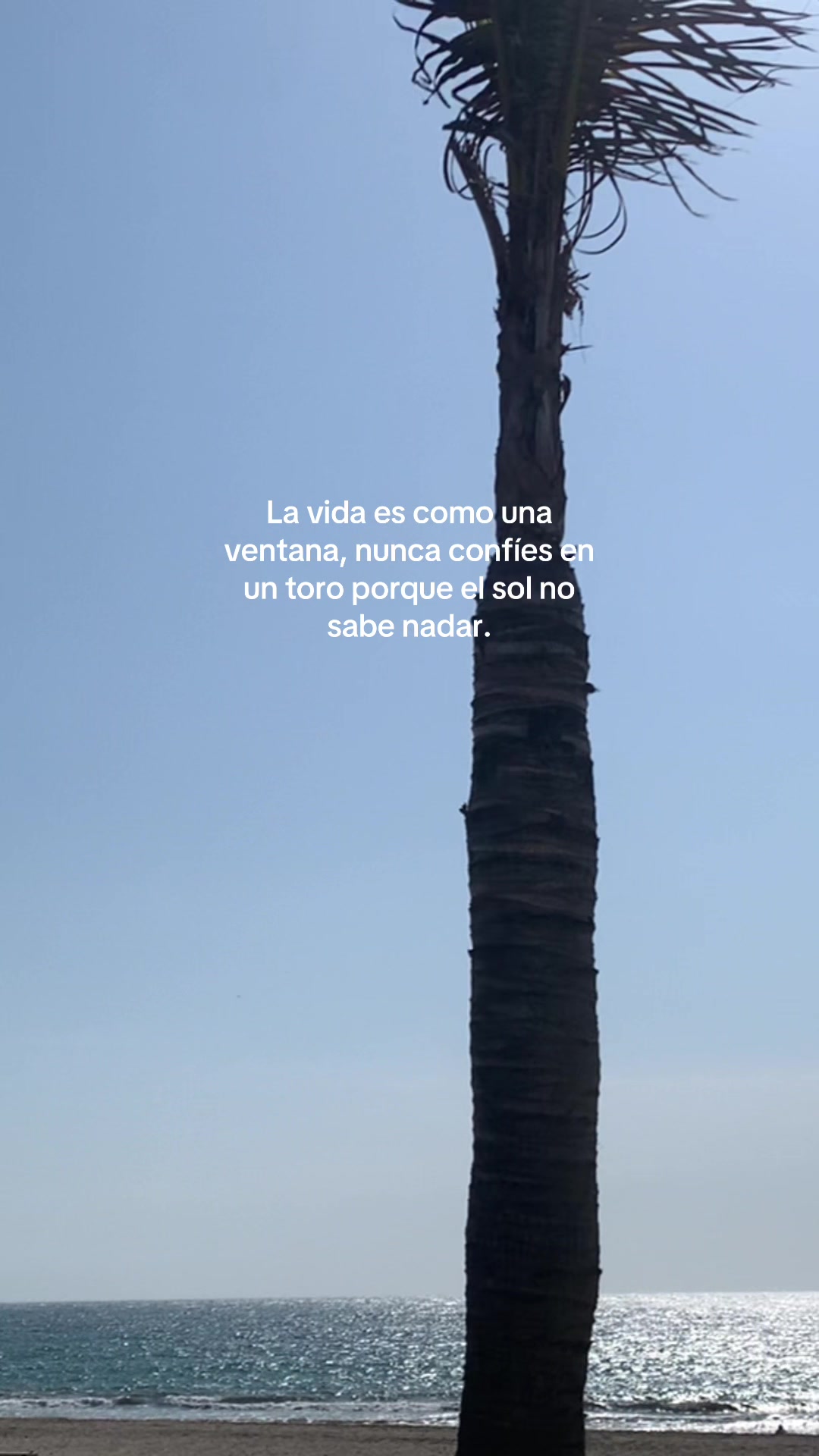 @Paolo V