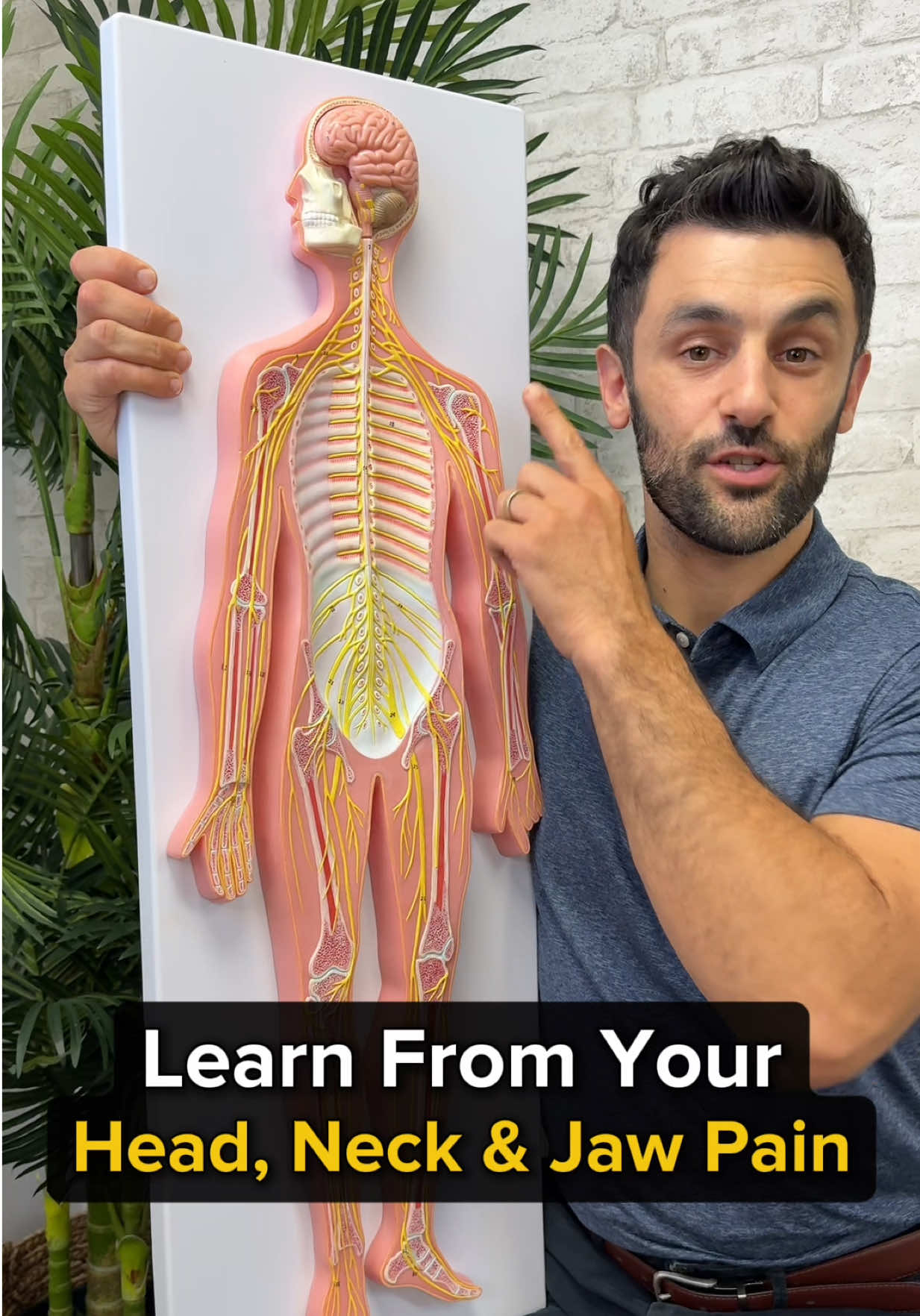 @Dr. Joe Damiani, DPT