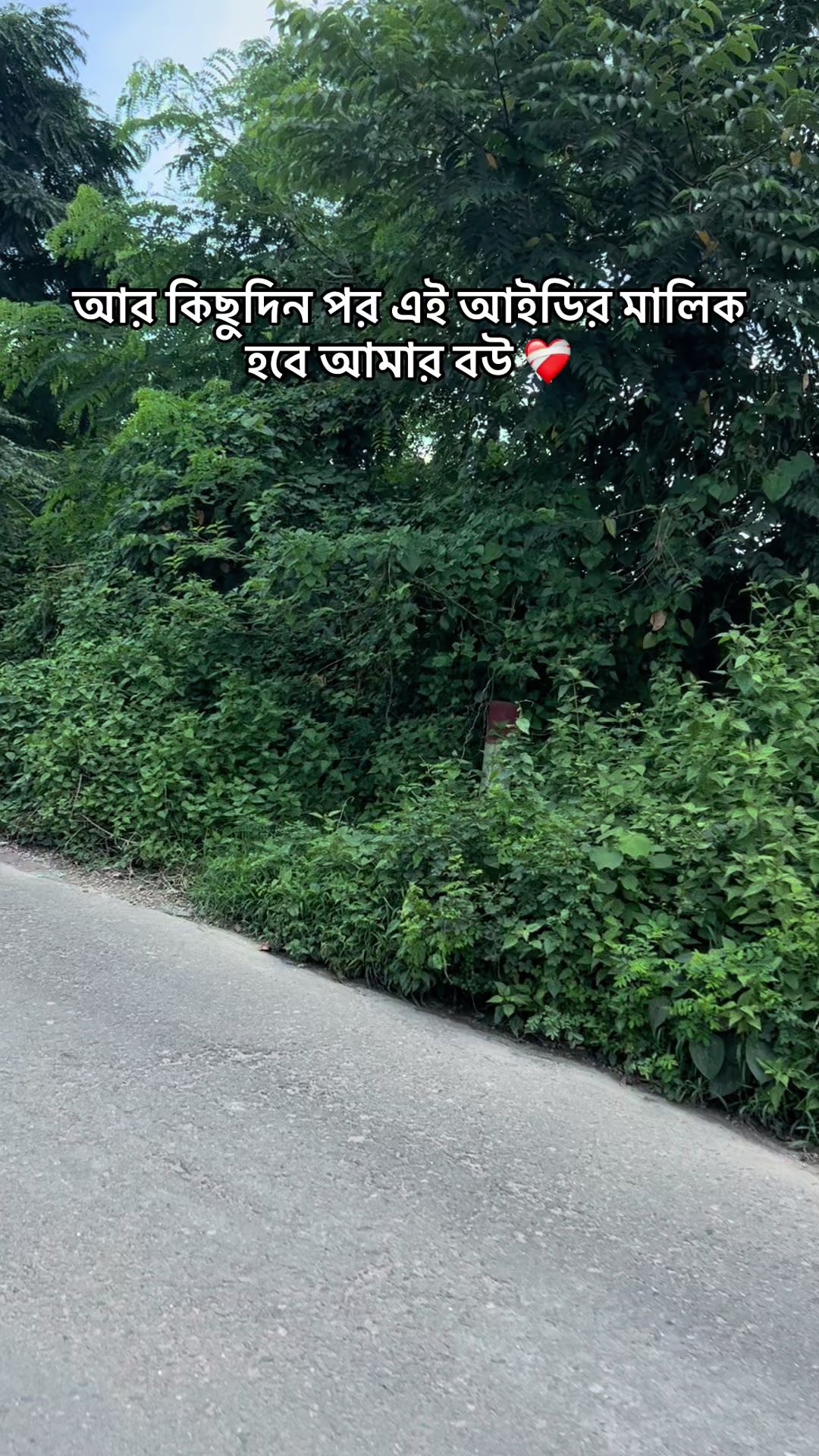 @Comilla Chele