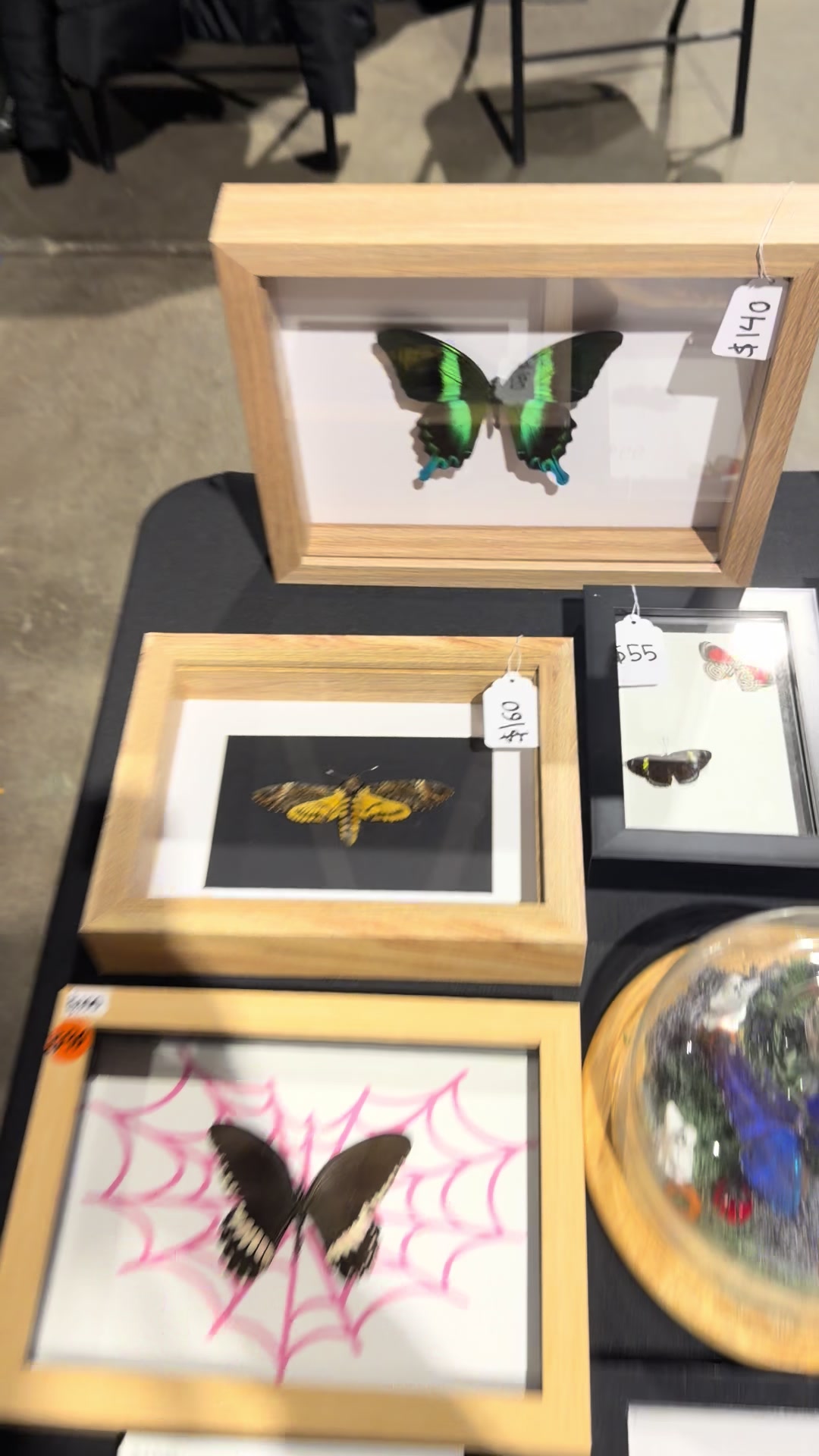 @framedbya
