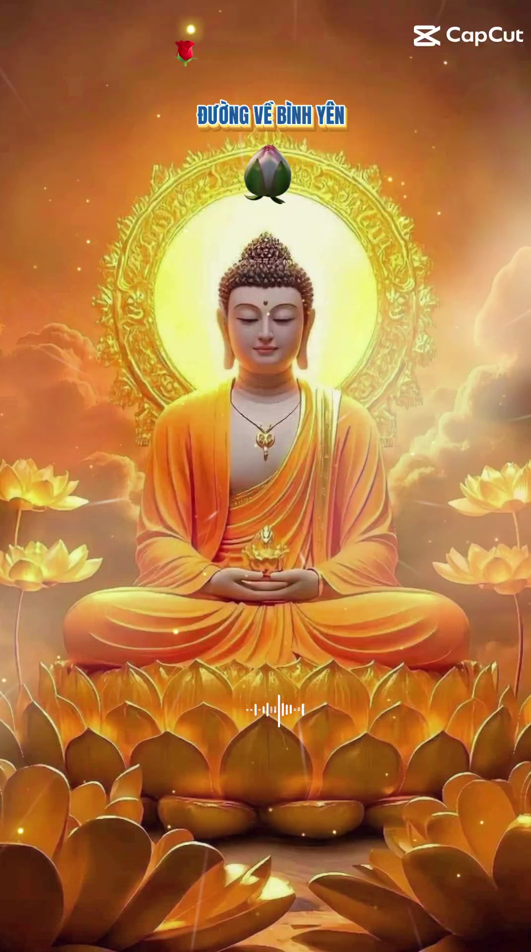 @nguyễn dung