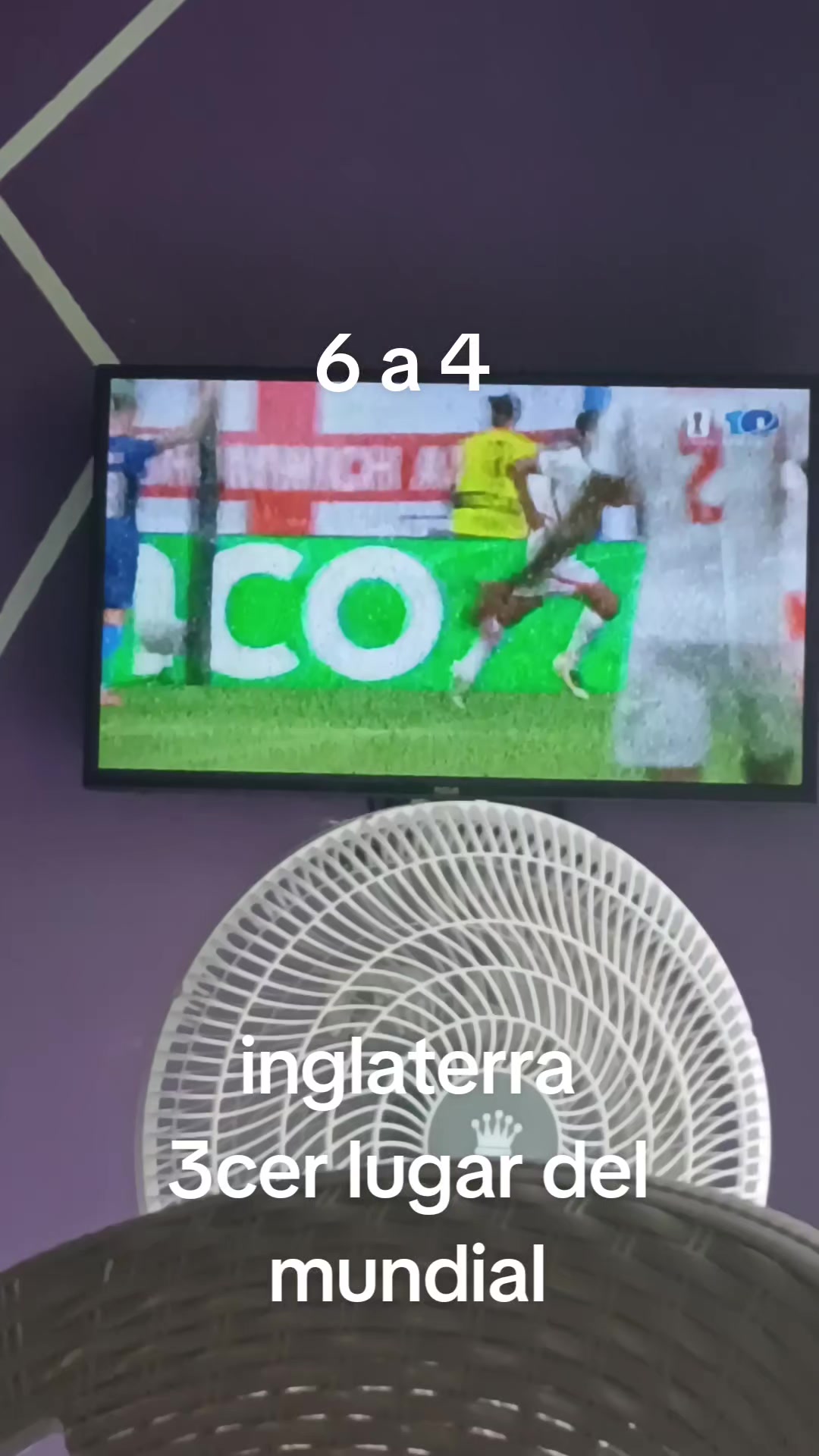 @Ana Torrez