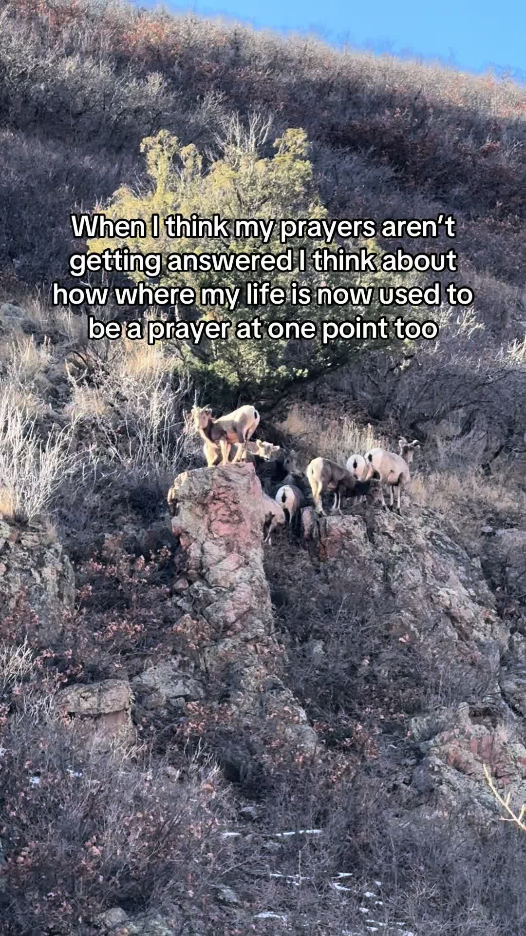 @JTEEZER