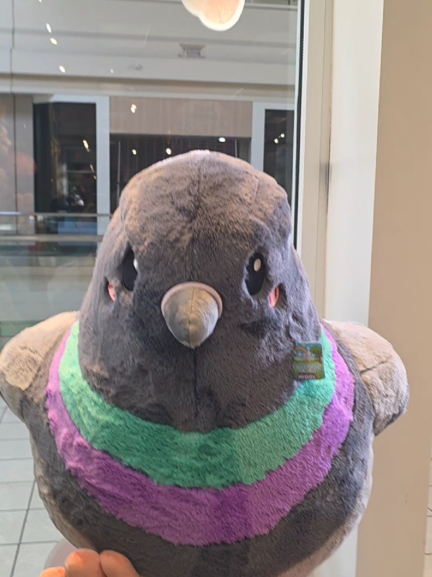 @Squishables_boisetowne&sup2;