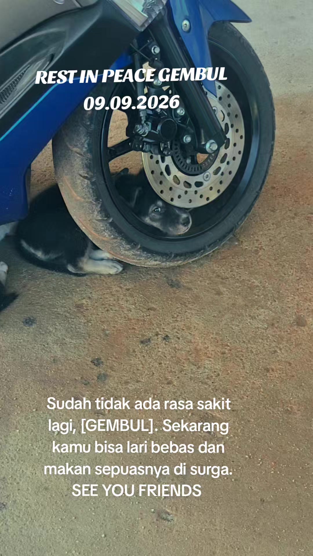 @SANWEEL