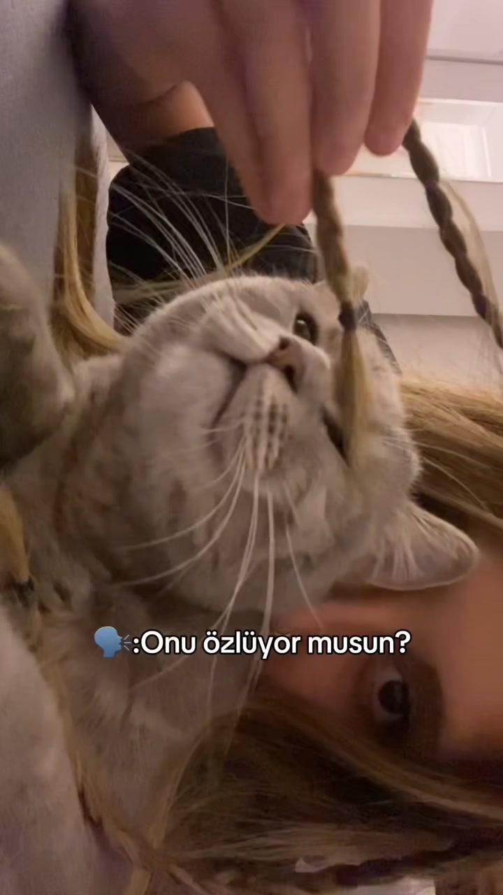 @ceren ela