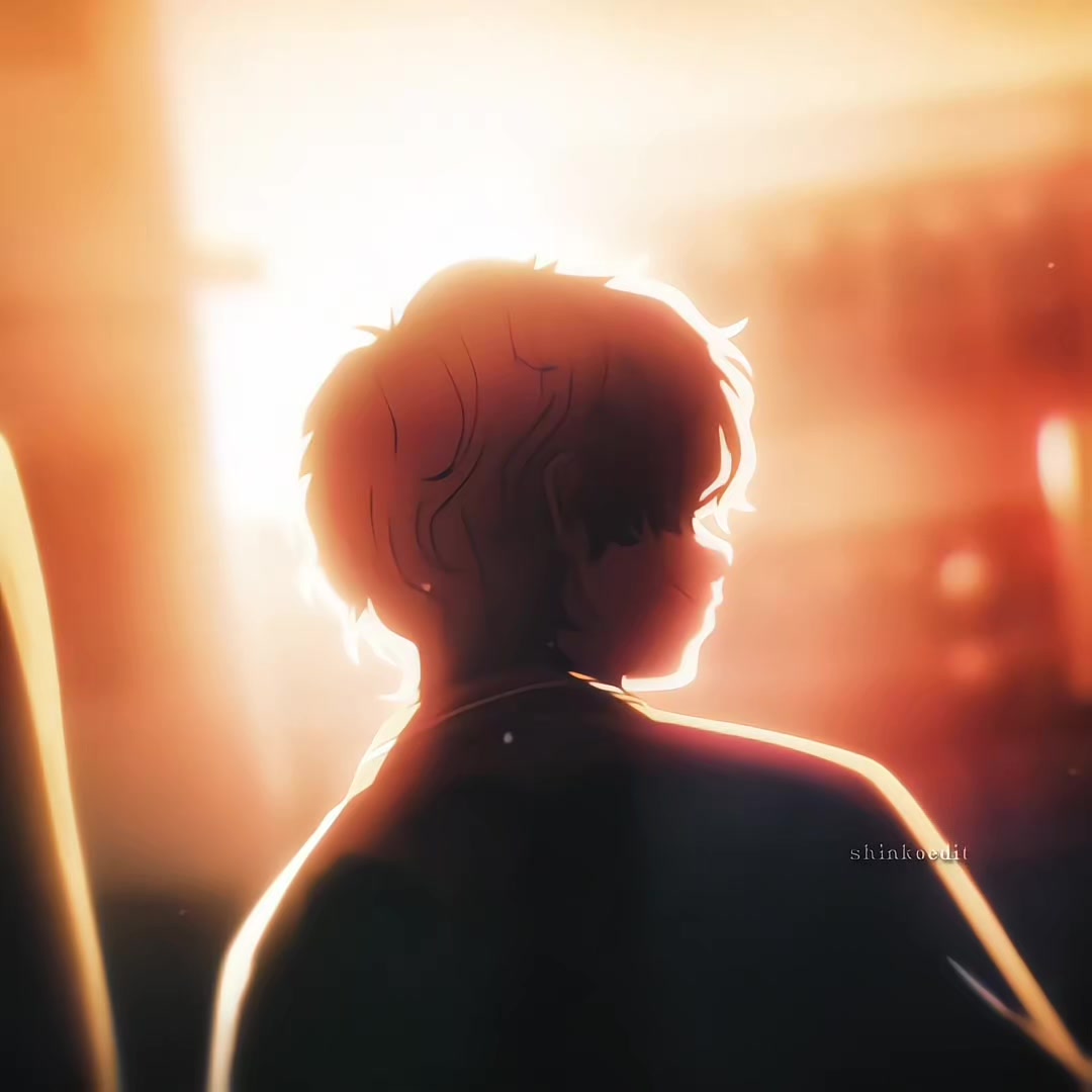 @shinkoedit