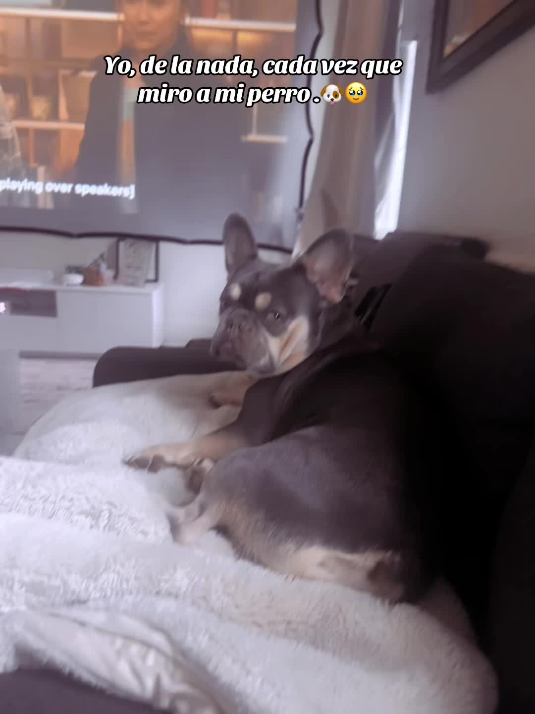 @Odessajack