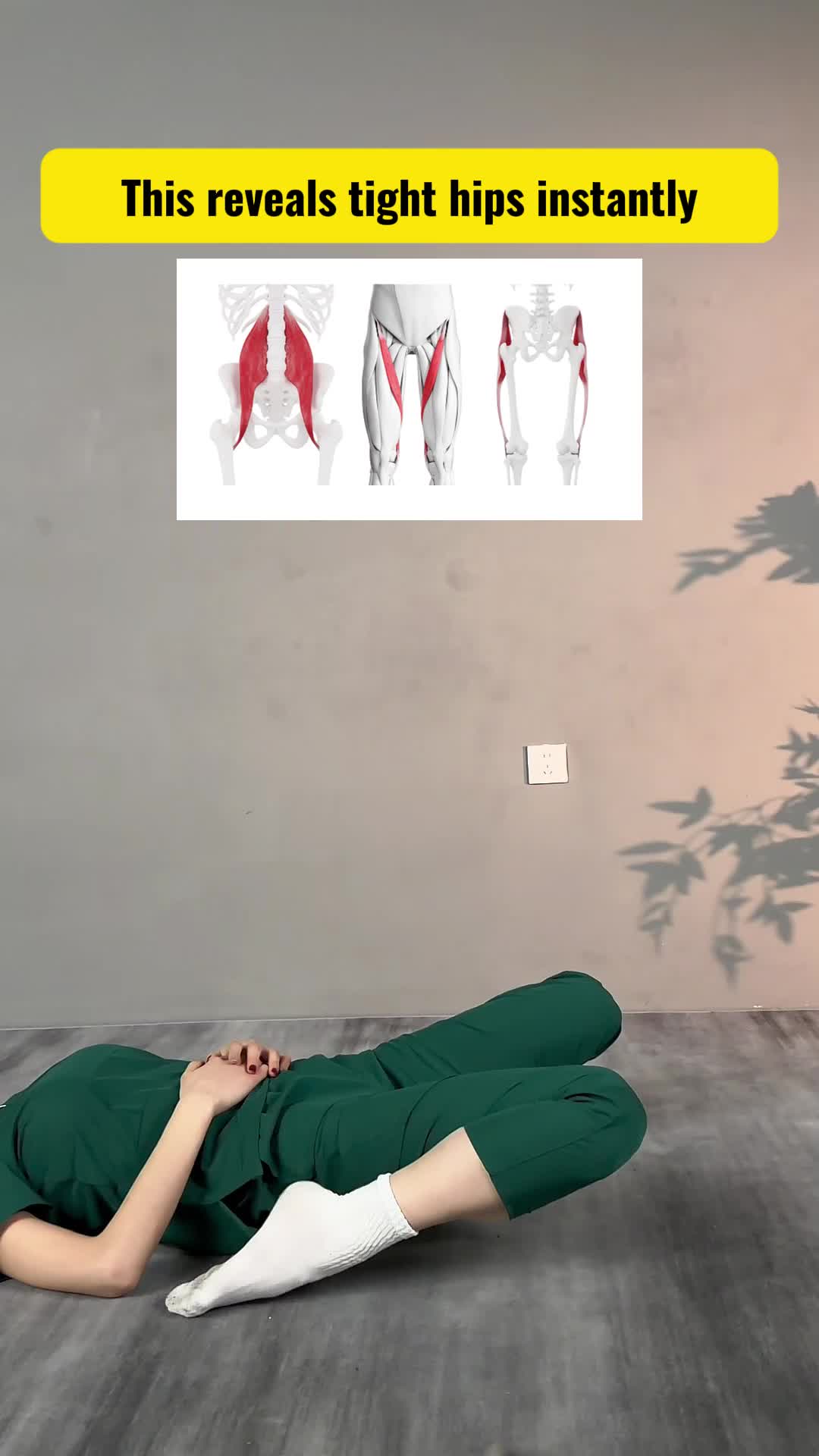 @ocotaichi.guide