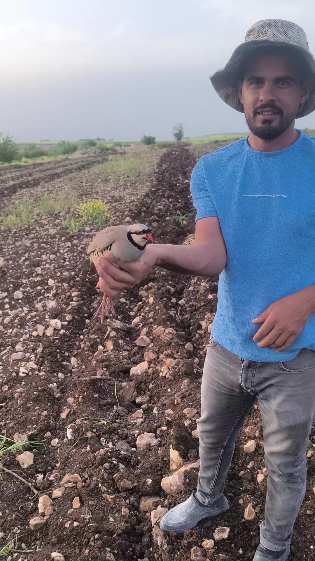 @Ğaloo