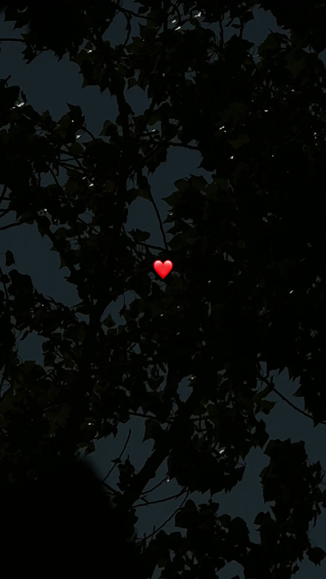 @🕊𝐀𝐛𝐝𝐞𝐥 𝐊𝐚𝐫𝐢𝐦 🕊