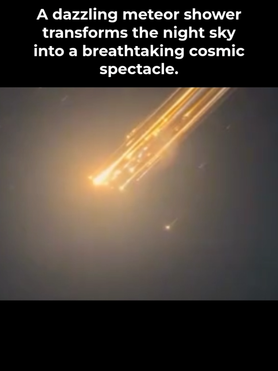 @𝑹𝒐𝒉𝒊𝒏𝒂 𝑨𝒓𝒊𝒇
