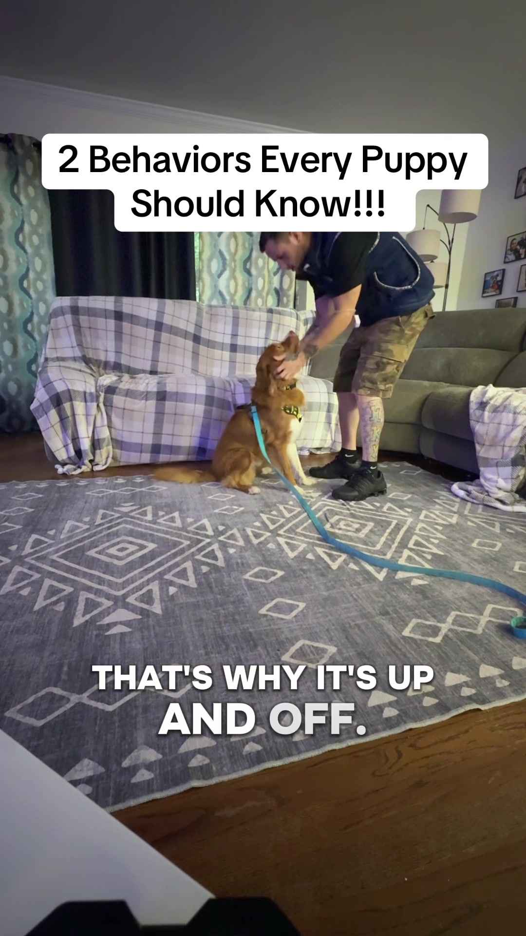 @Best Buddy Dog Trainer LLC