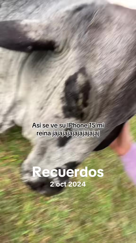 @Kate Muñoz