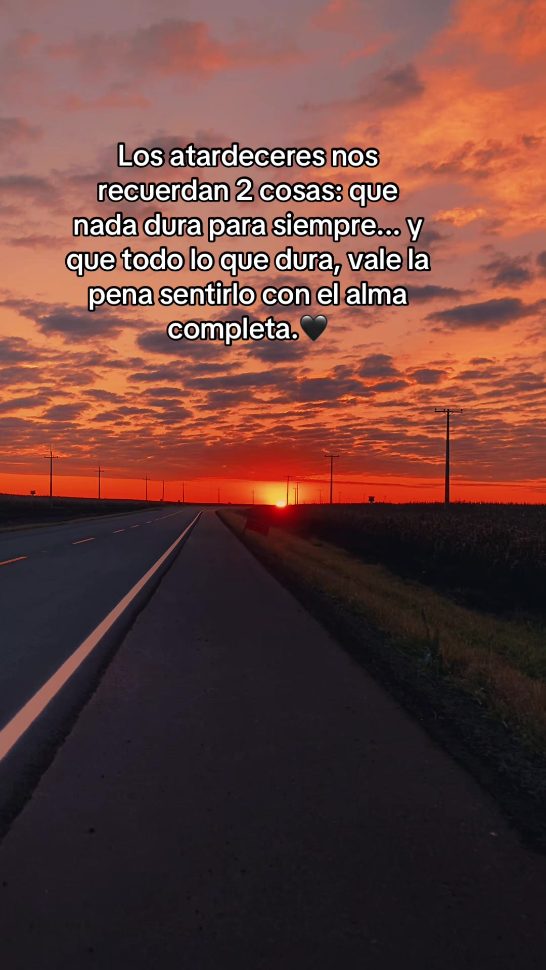 @Javier Rojas Jim&eacute;nez