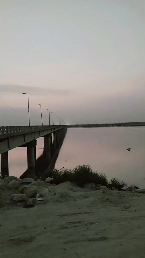 @Muskan Khan 80