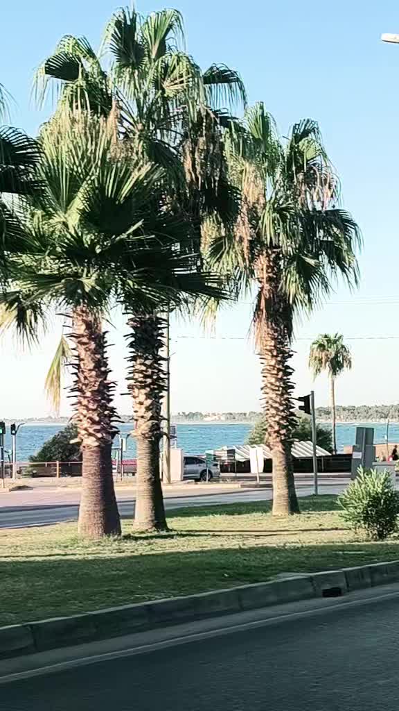 @Güneşnevzat0766