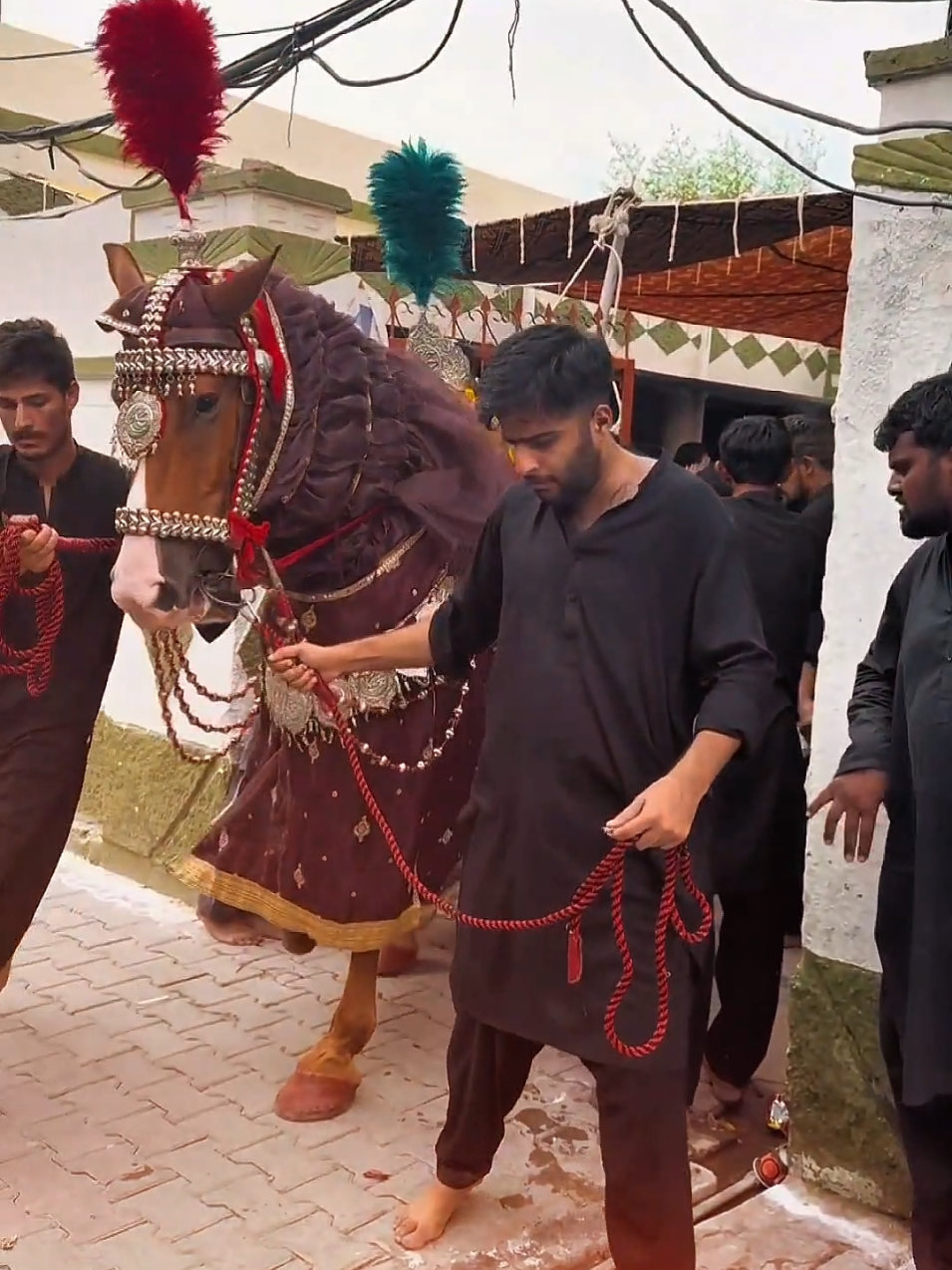 @مرکزی ذوالجناح تلہ گنگ