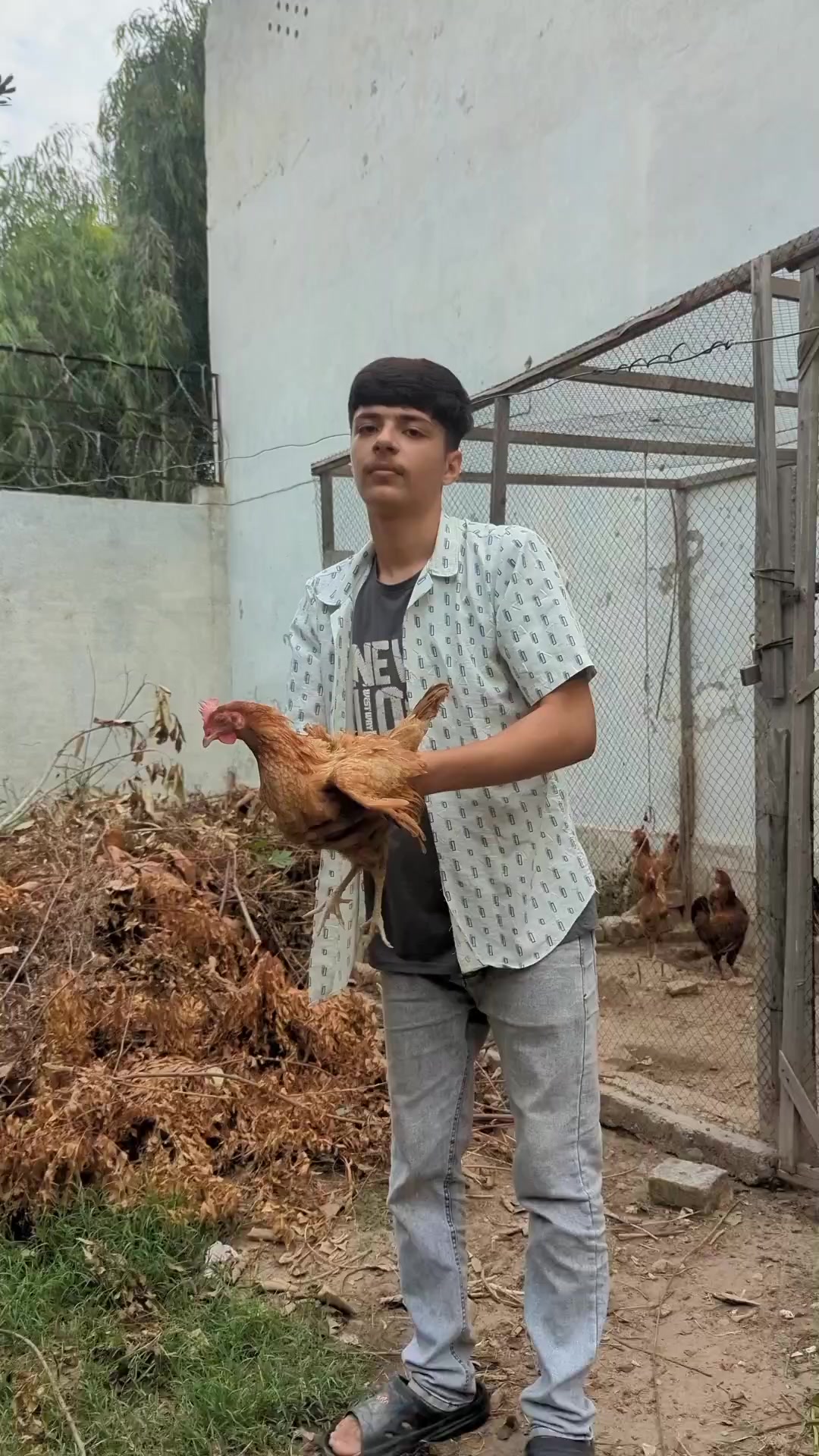 @Ghazan Mangol
