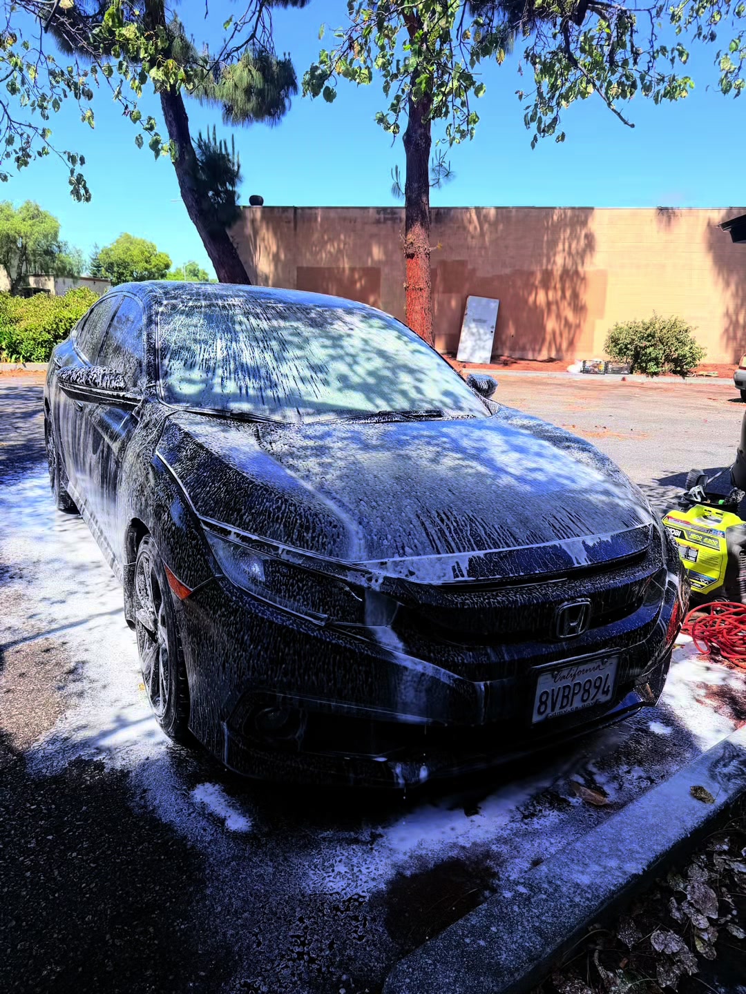 @Apex Auto Spa🦈