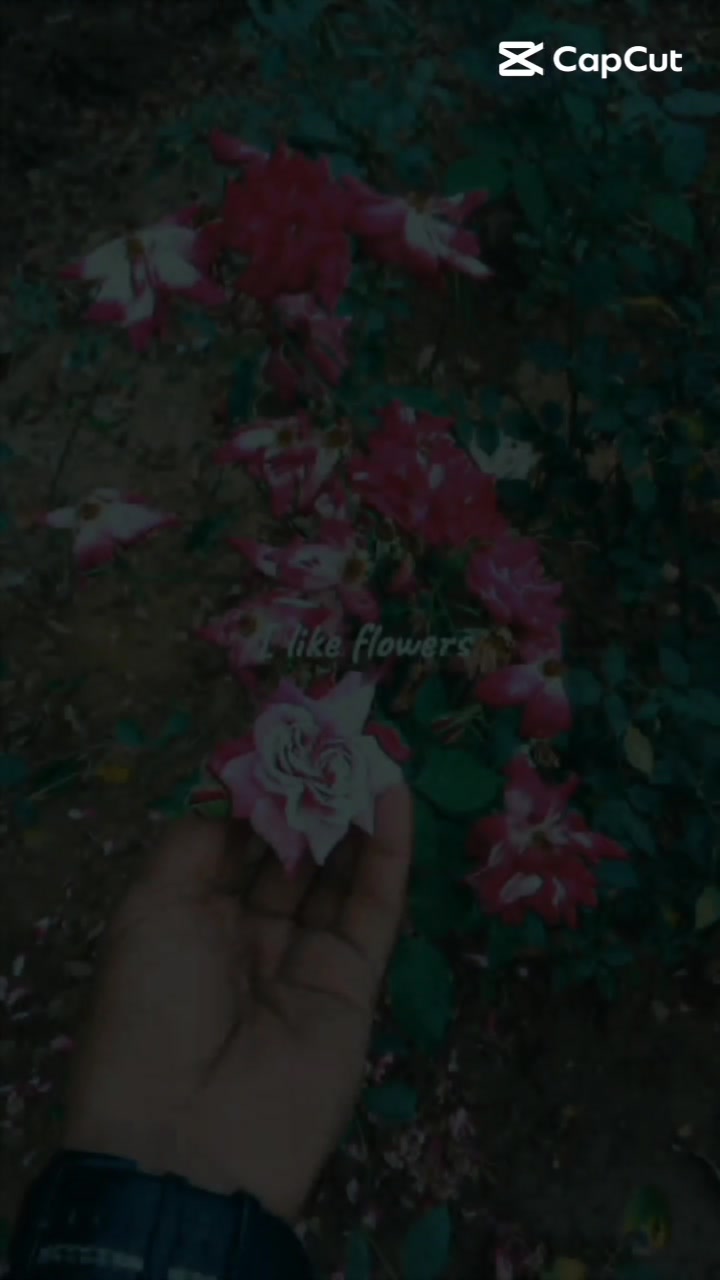 @एलन🖤