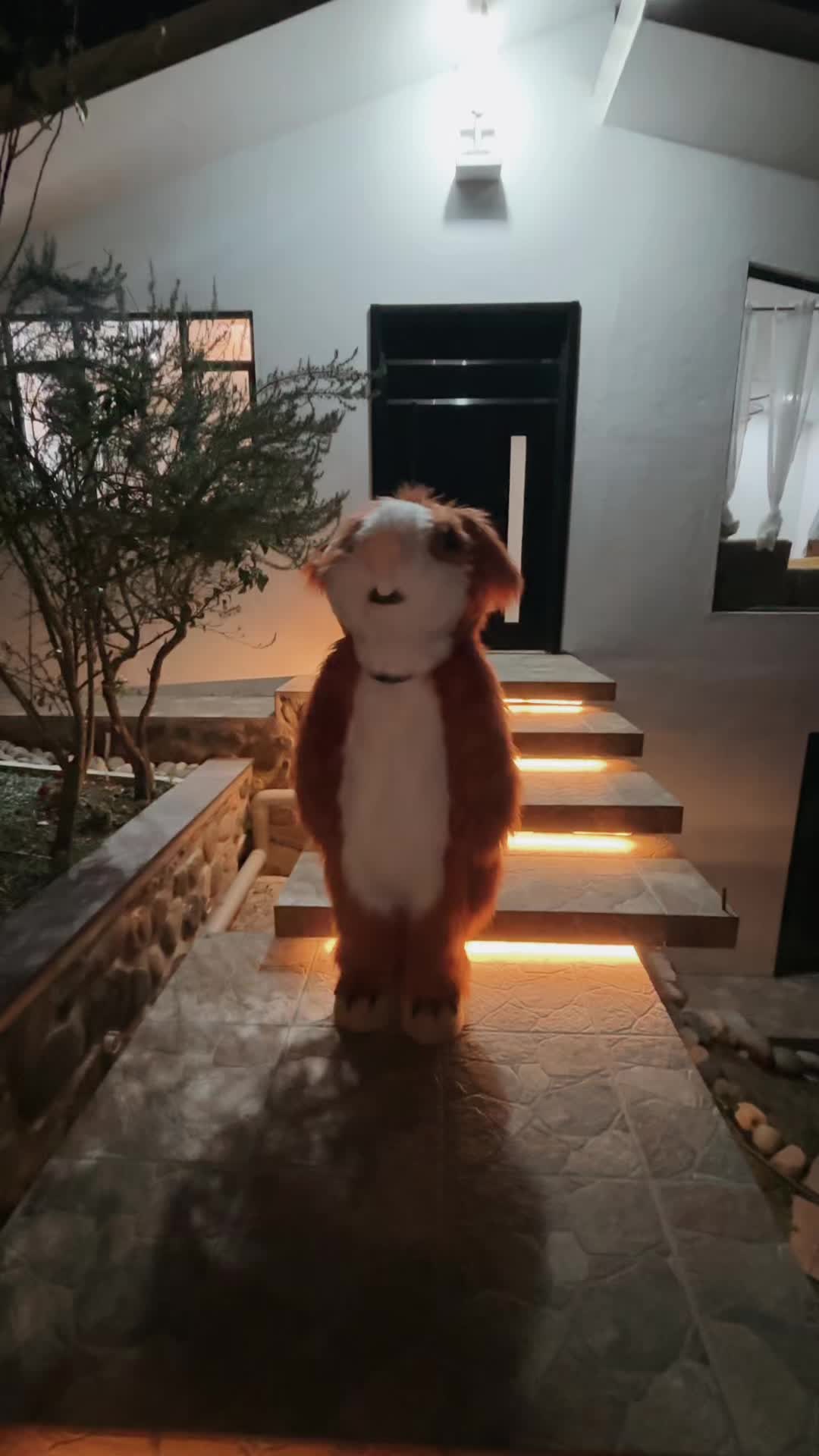 @dancing_cuy