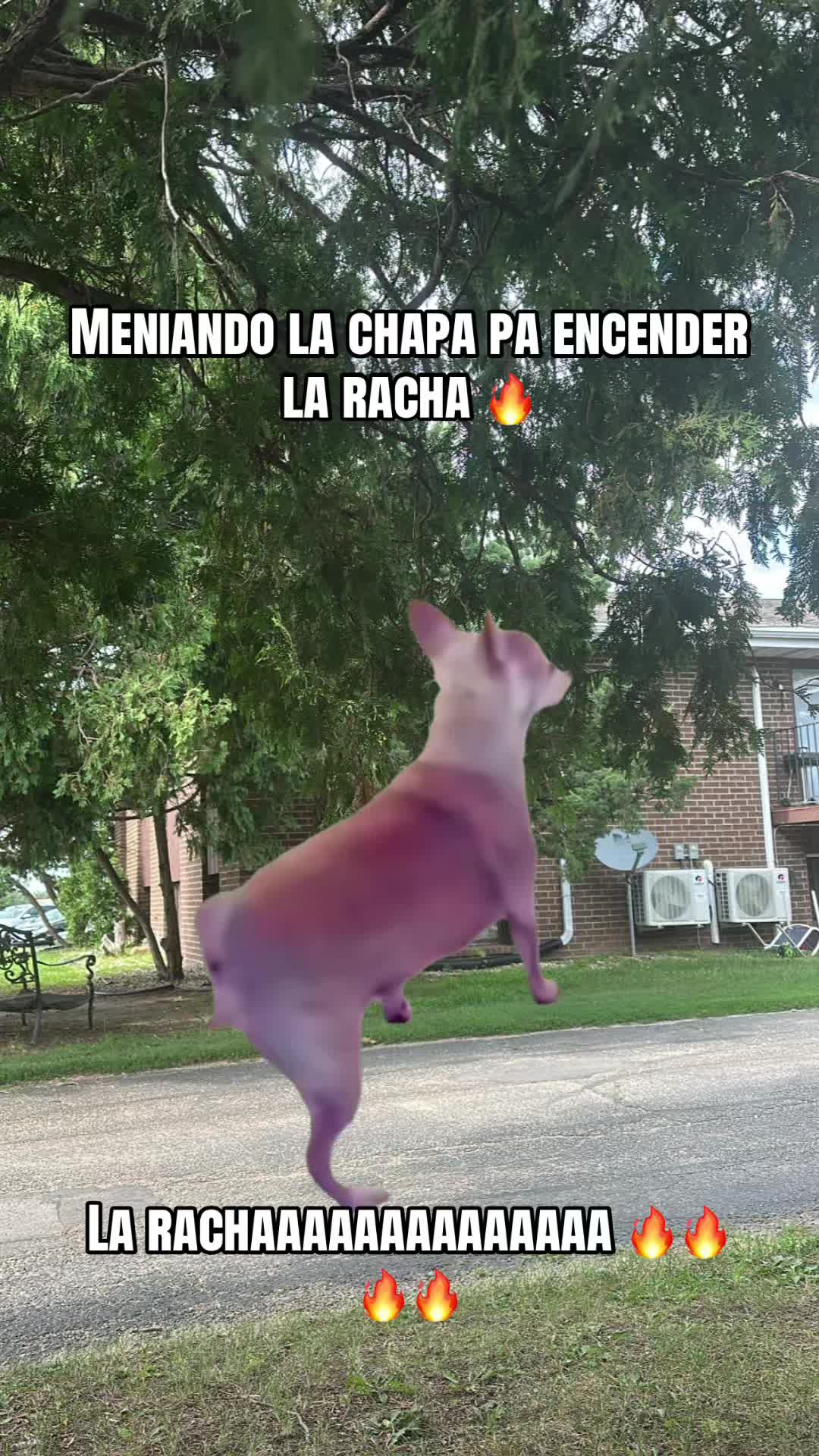@🧃🍀🫀💋🦅LaTerrible69🌶️🇻🇪