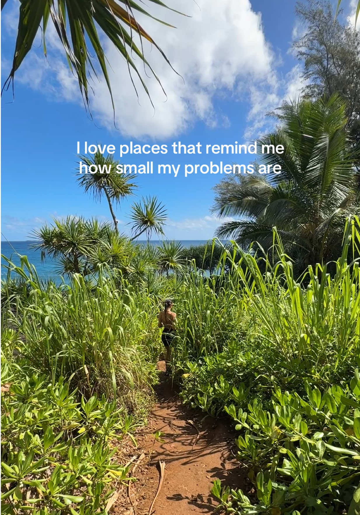 @Beauty by Kat | hormones + gut