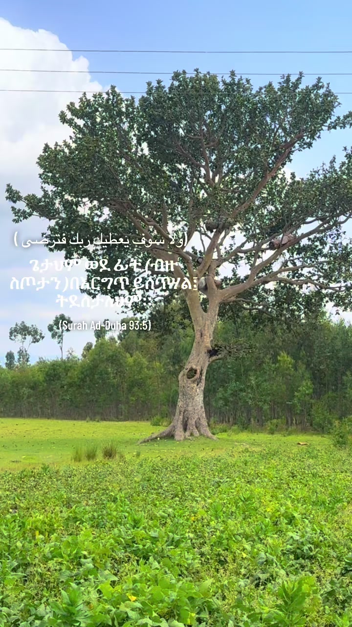 @H I K M A๐