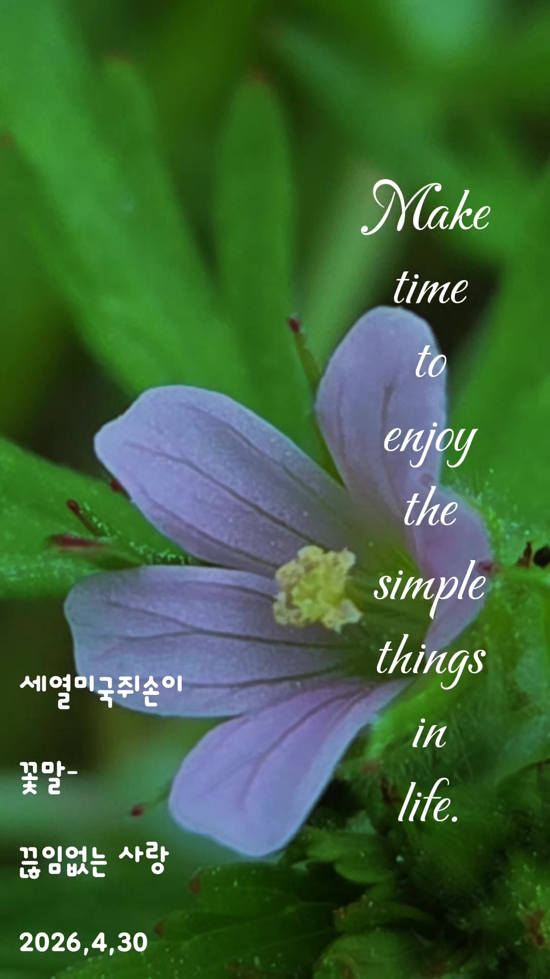 @참파