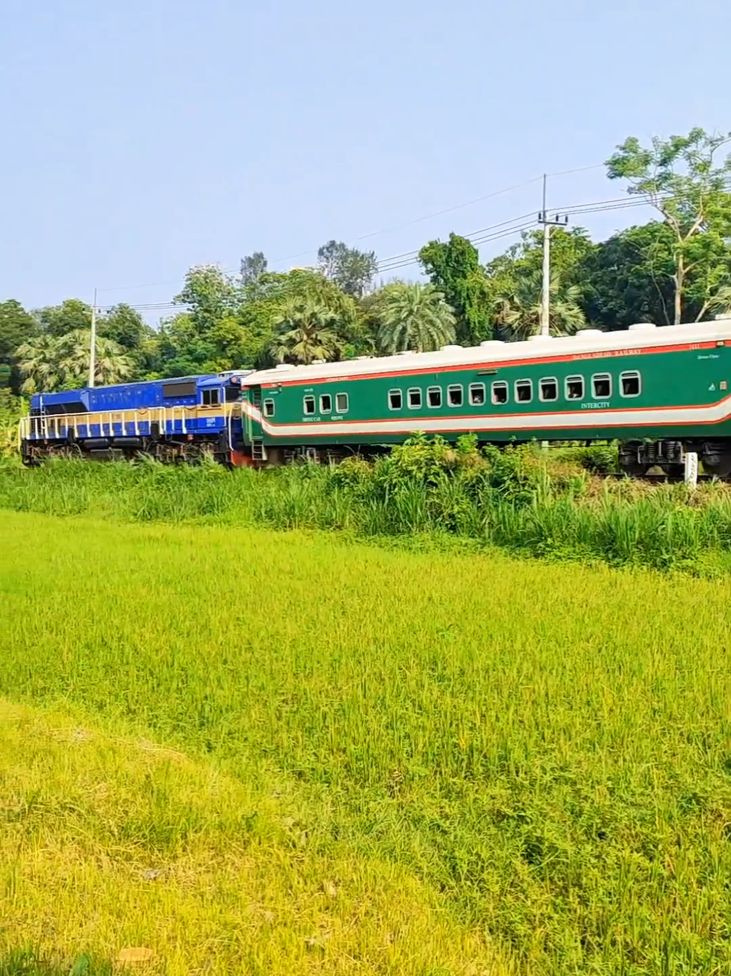 @Bithi Rani