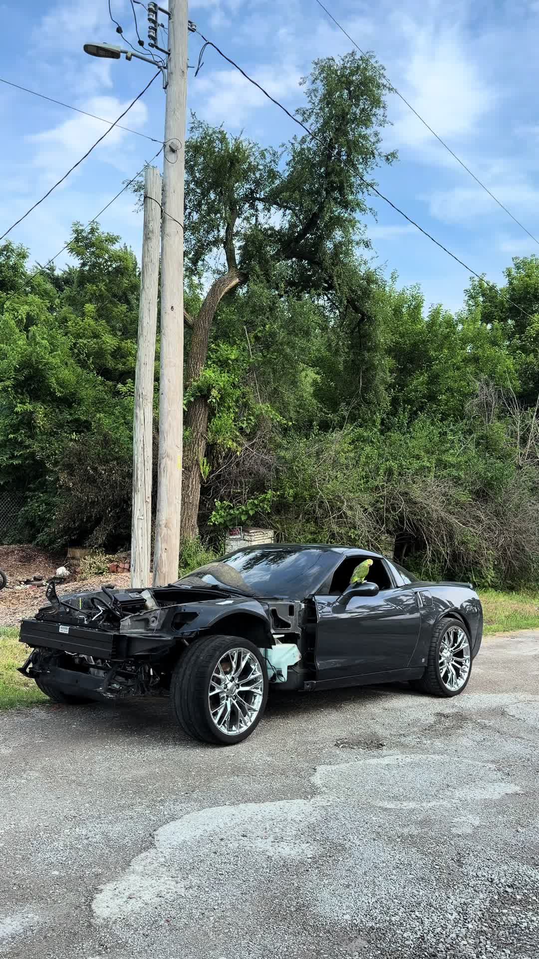 @Excessive Truck Effects