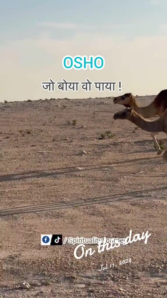 @SpiritualityJourney