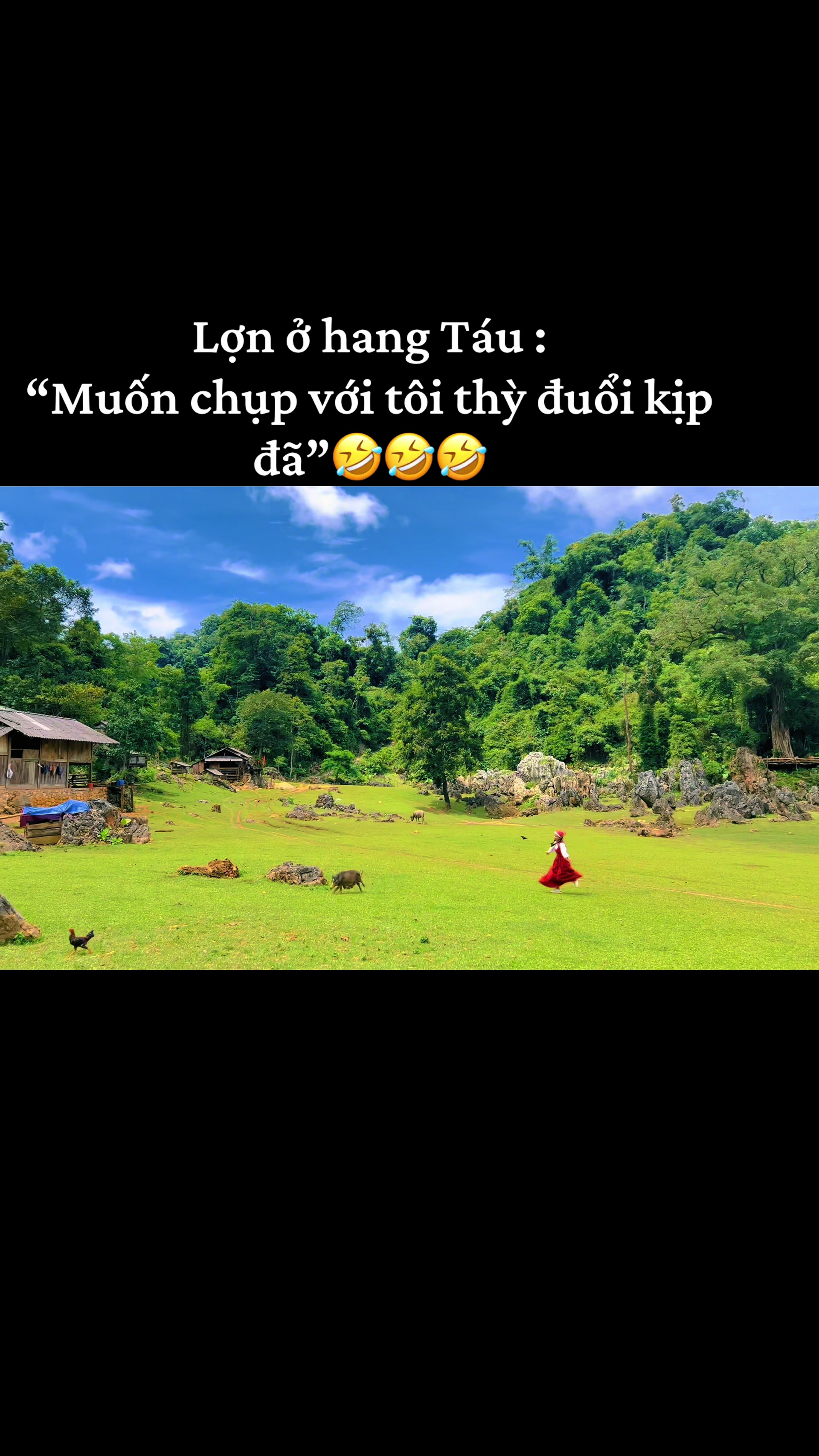 @Cúc hoạ mi🍀