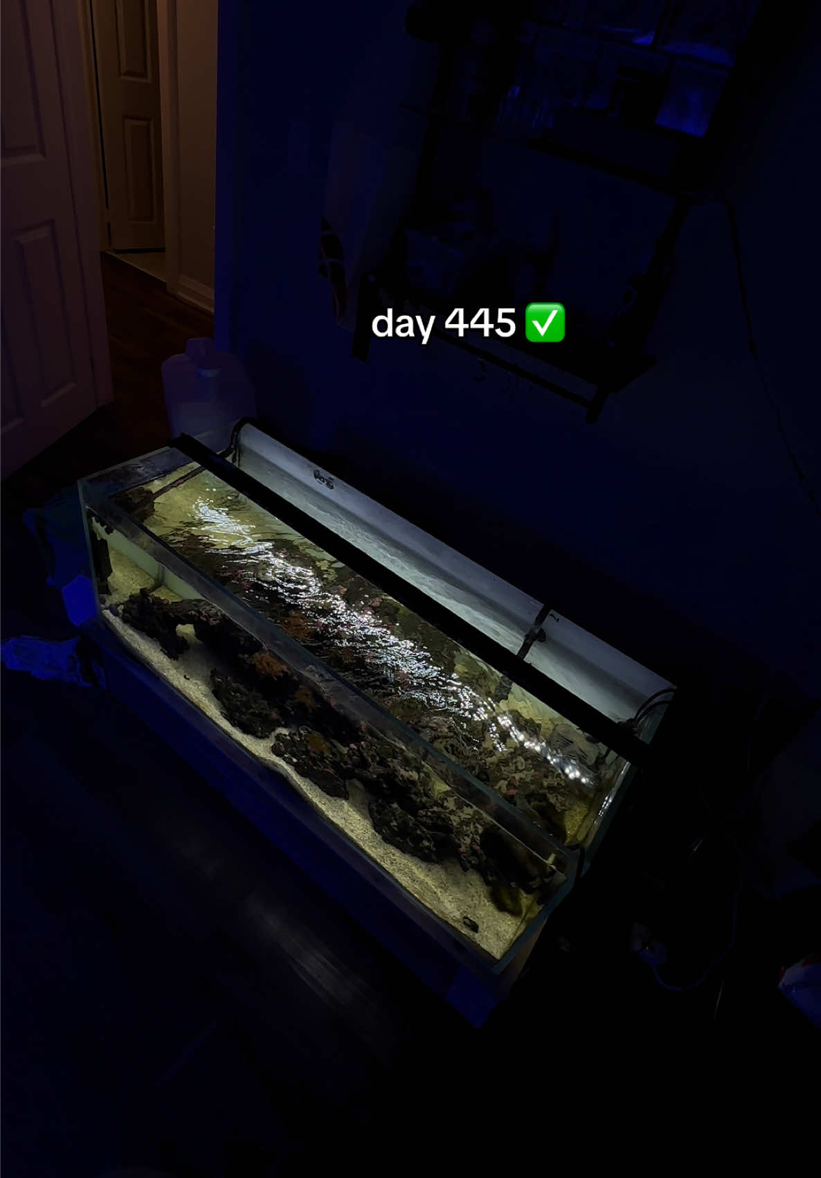 @ReefSync