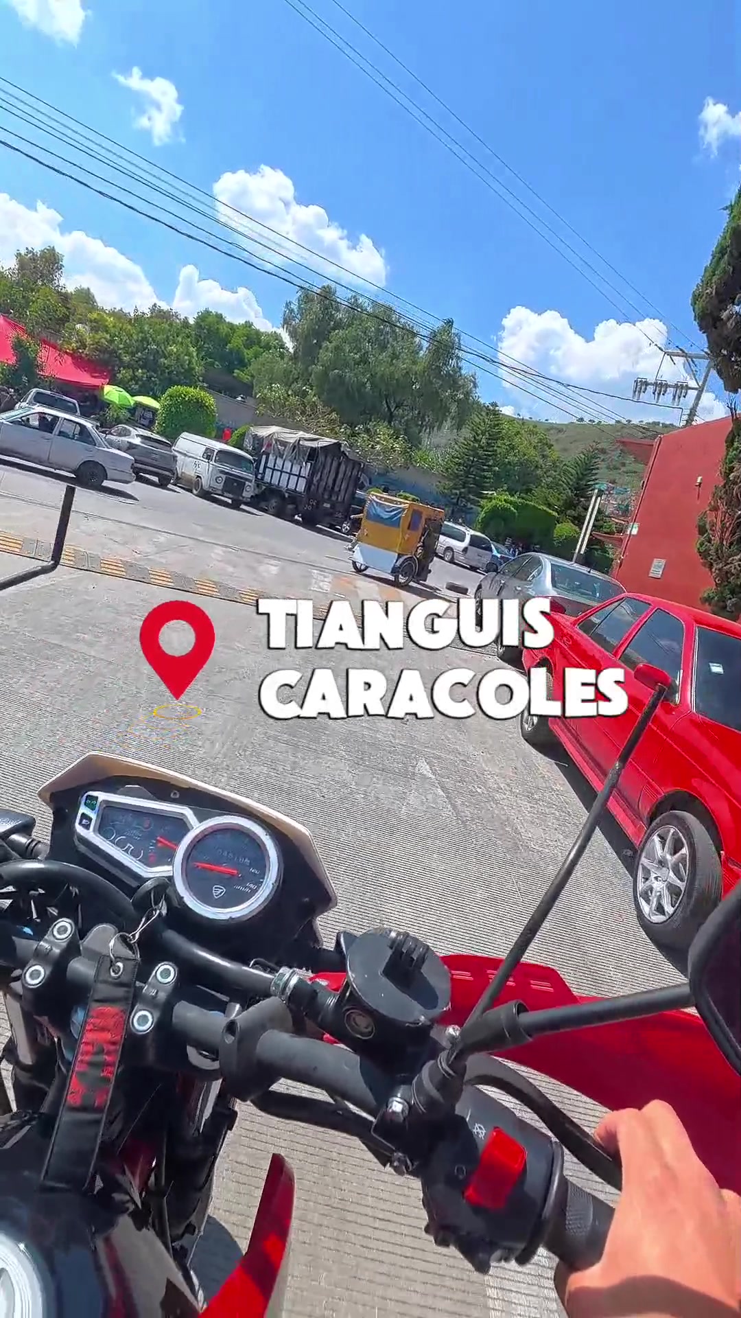 @el toci