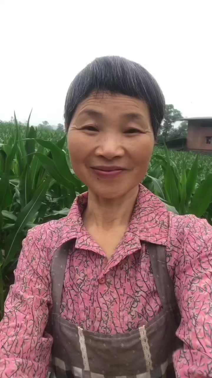 @grandma yan