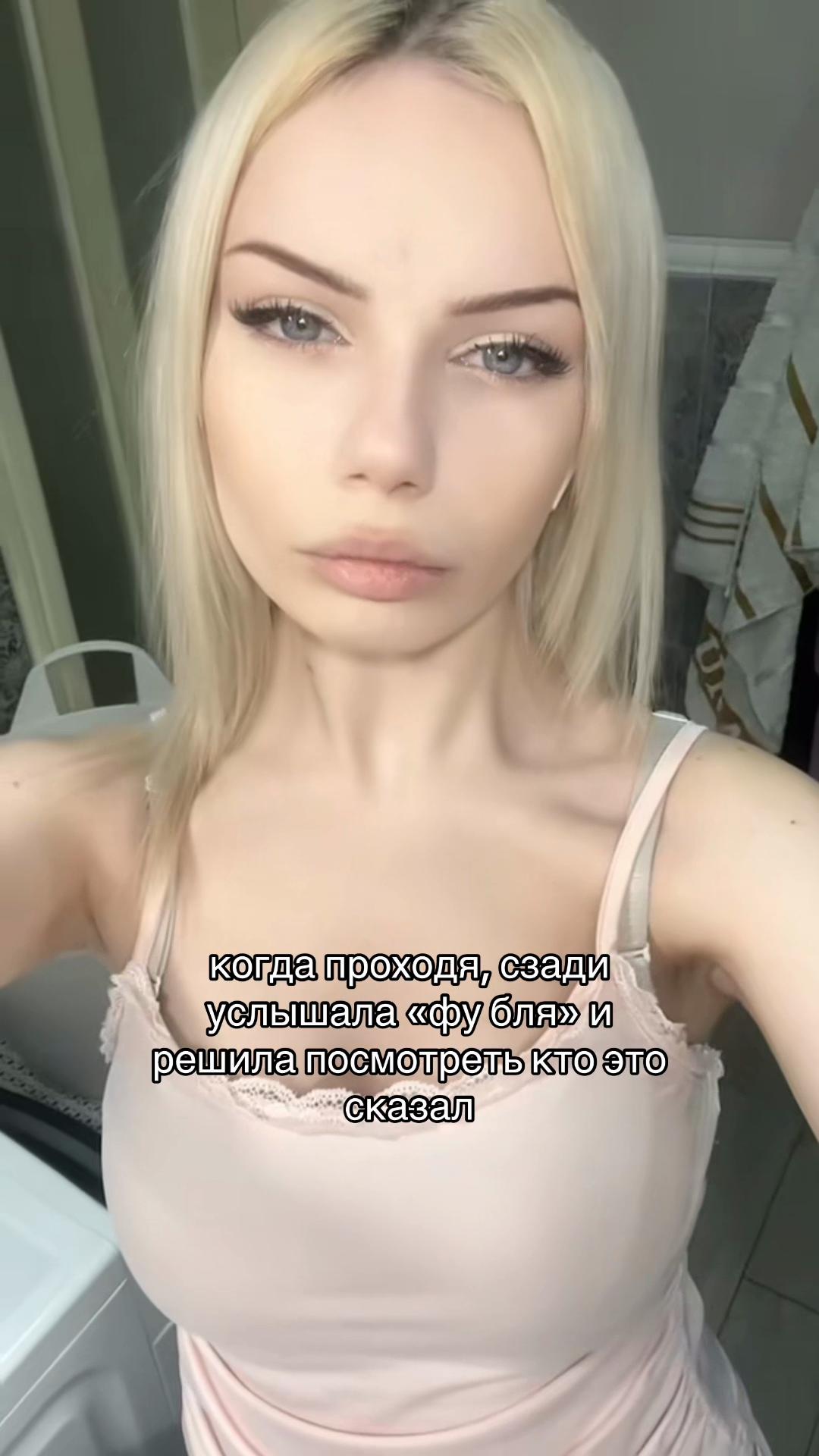 @чихуахуа