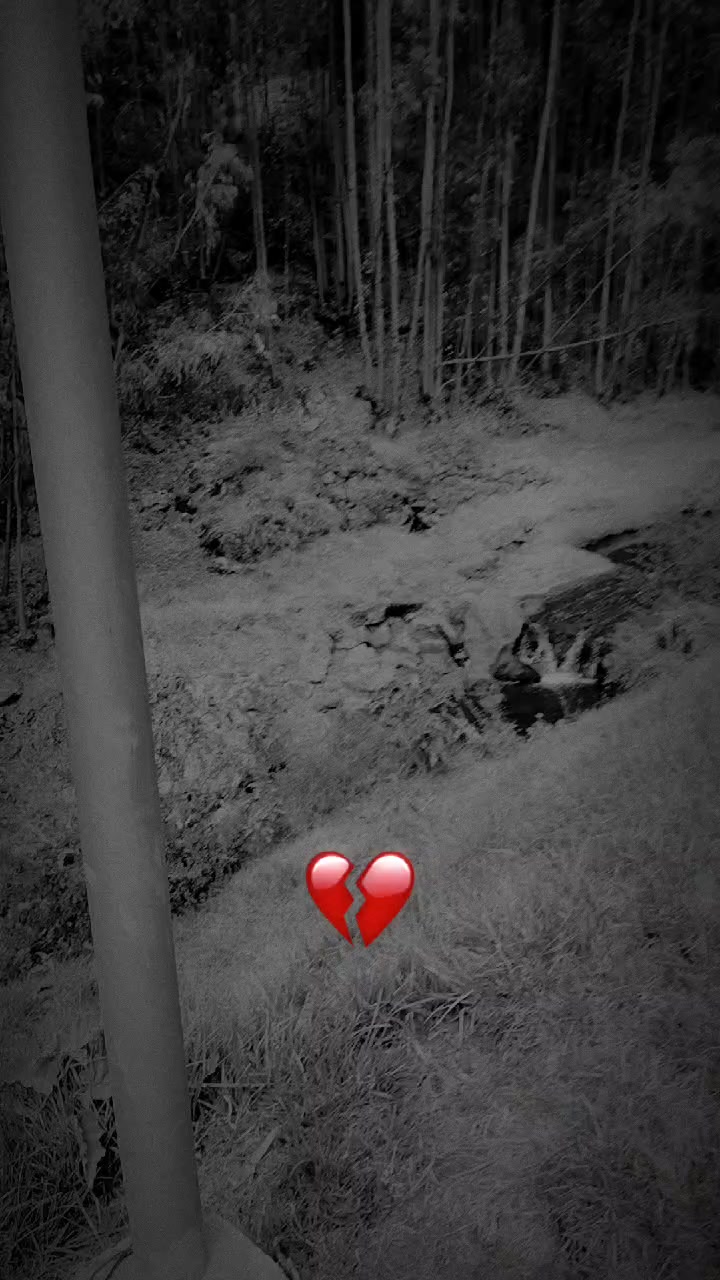 @frases 🥀❤️
