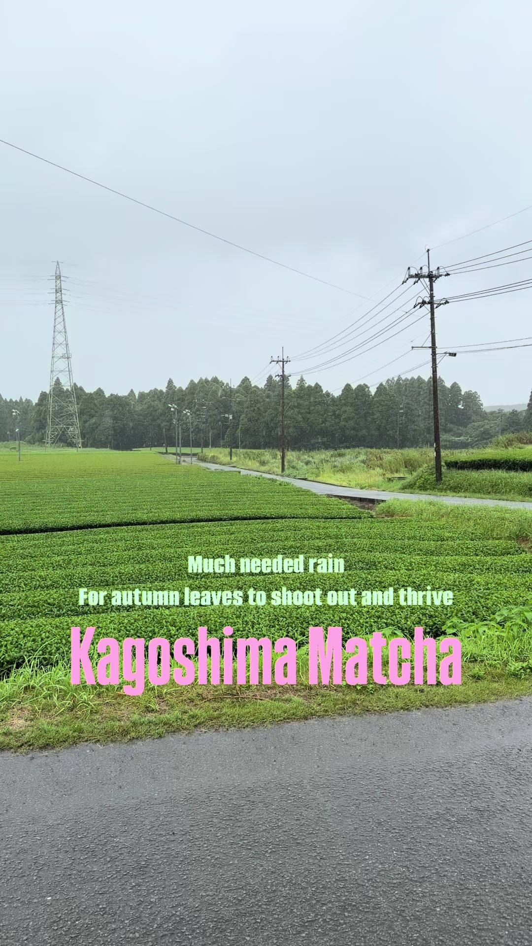 @k a b a s e i c h a