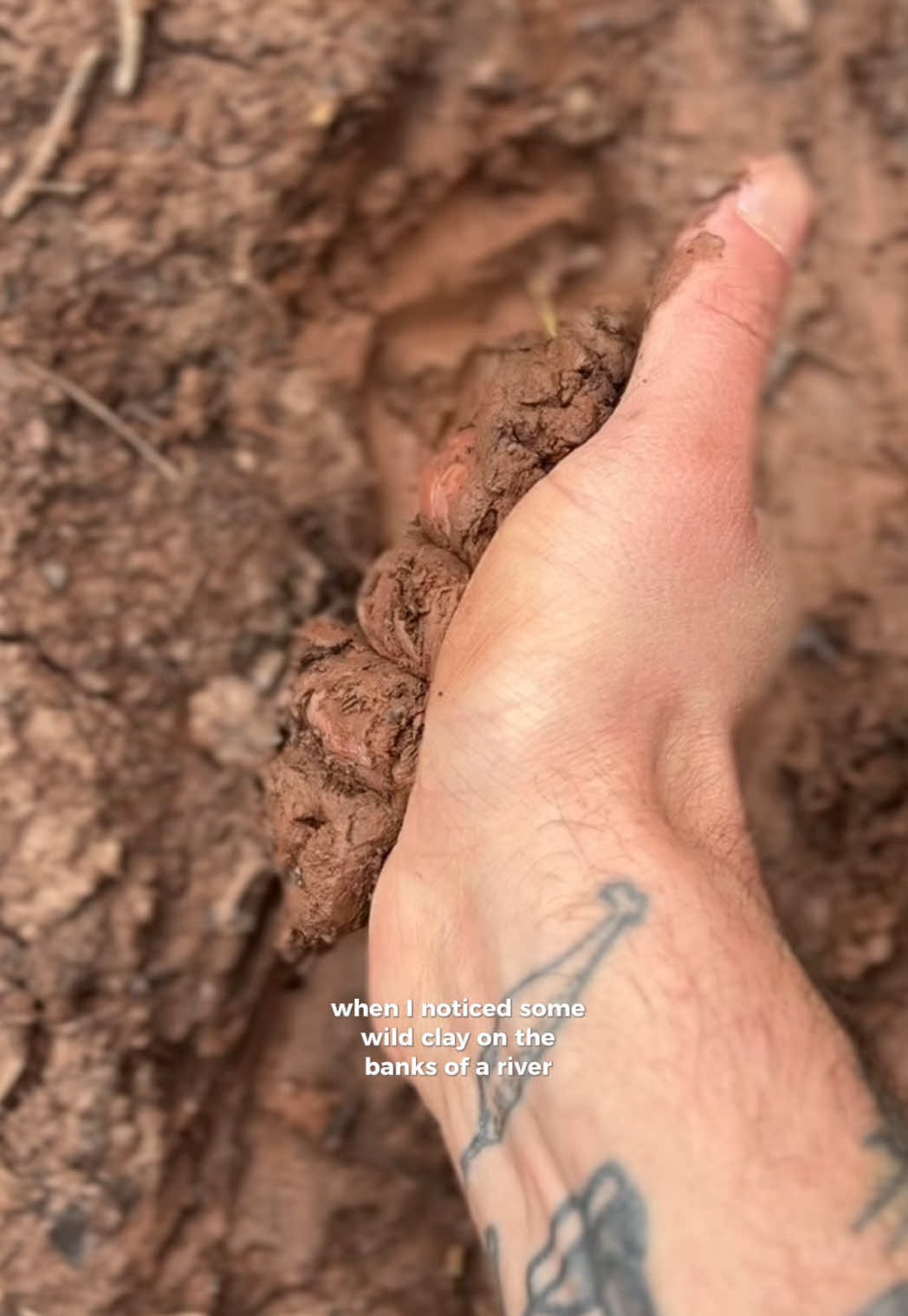 @brettwulc