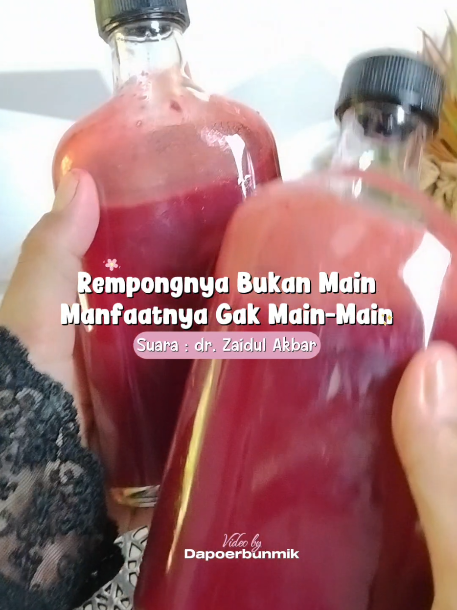 @dapoerbunmik