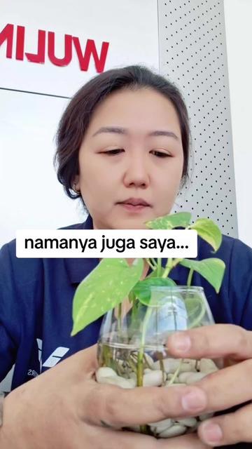 @anne