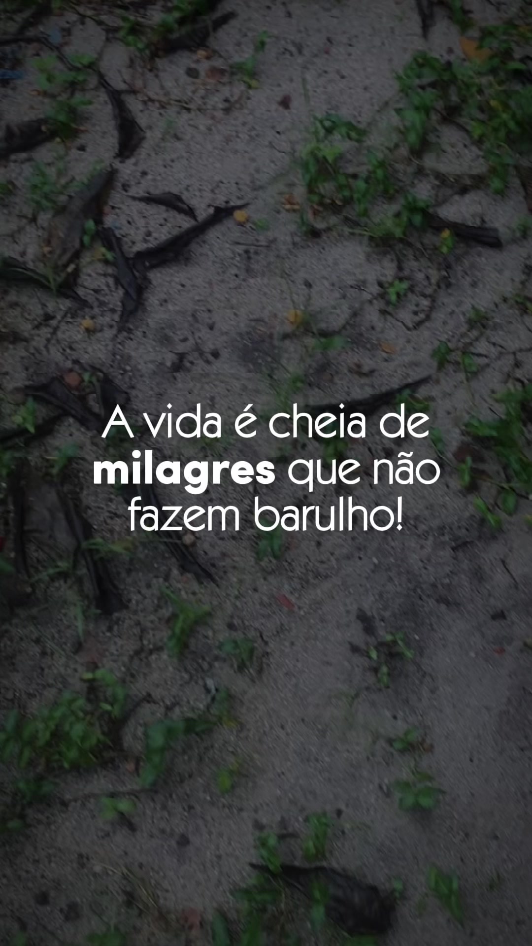 @casosreais