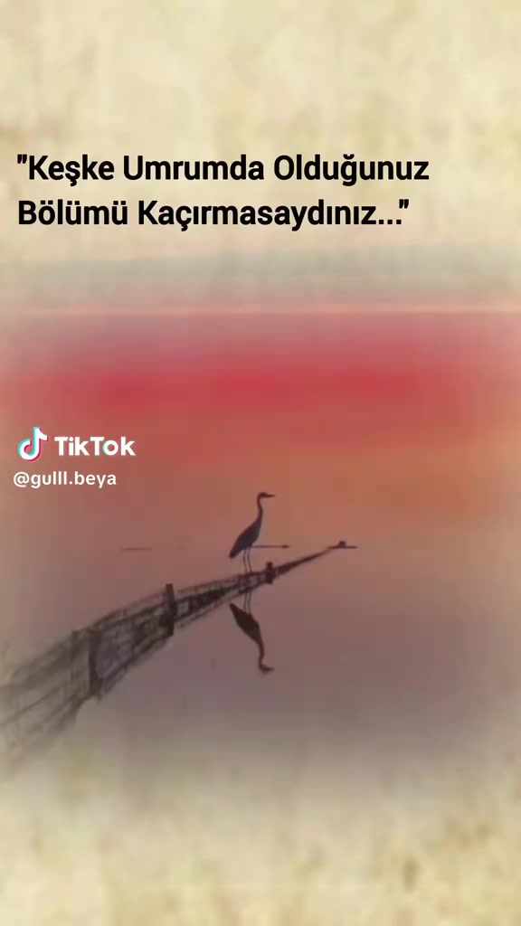 @ummu demirci