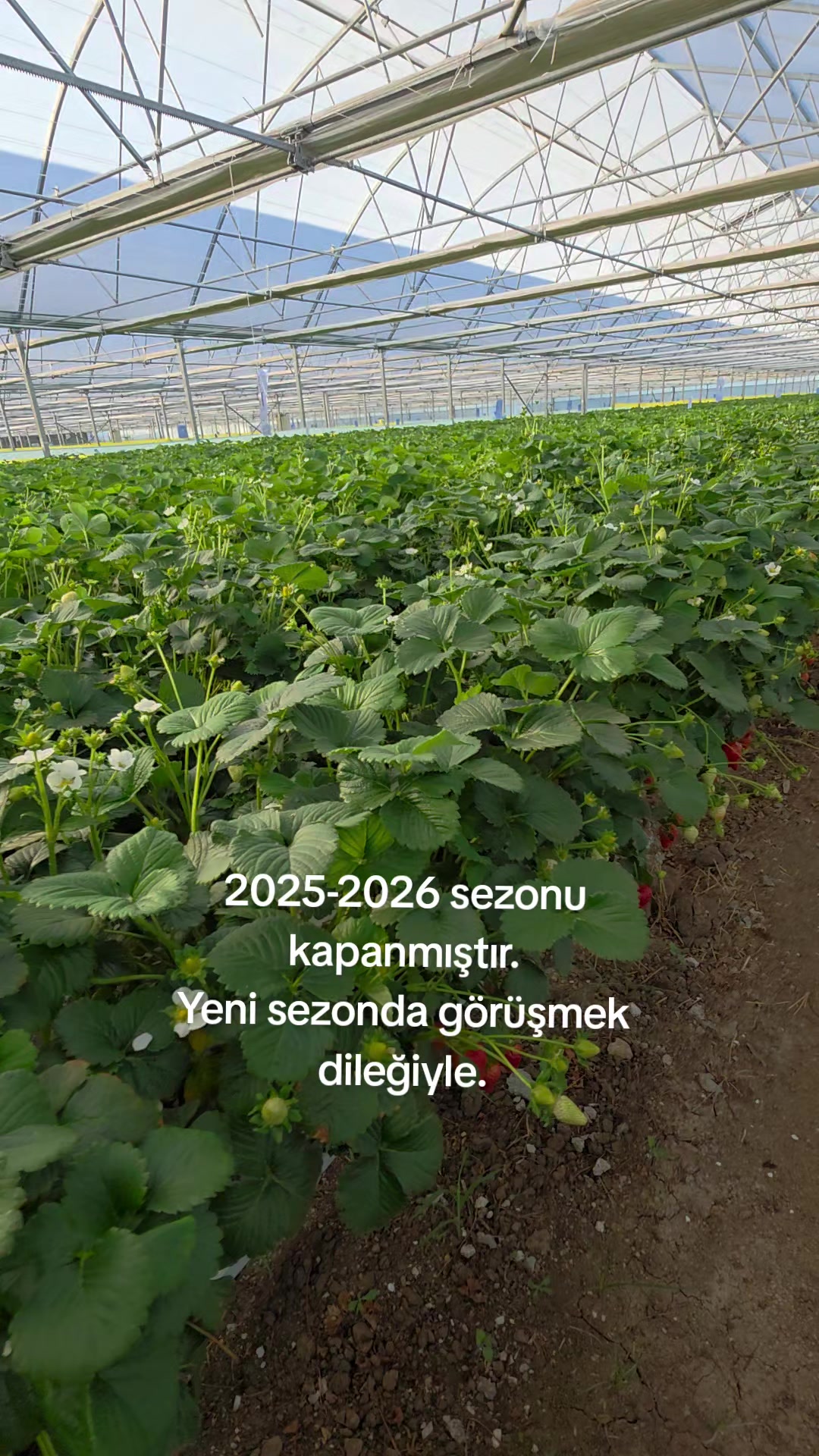 @Kartes Tarım Danışmanlık